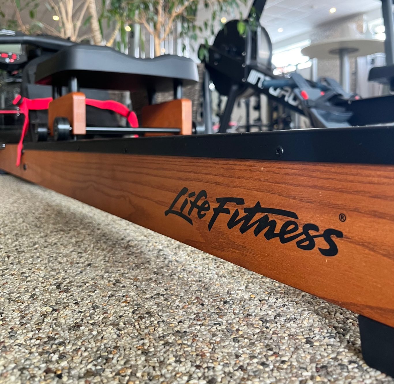Holz-Rudergerät von Life Fitness.