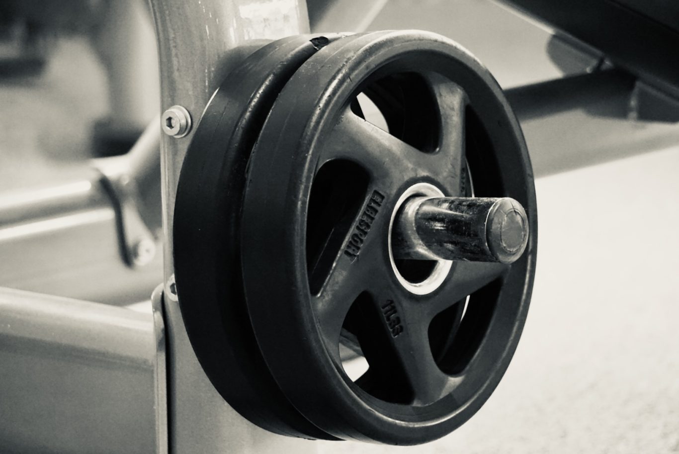 Details, zwei Gewichtsscheiben