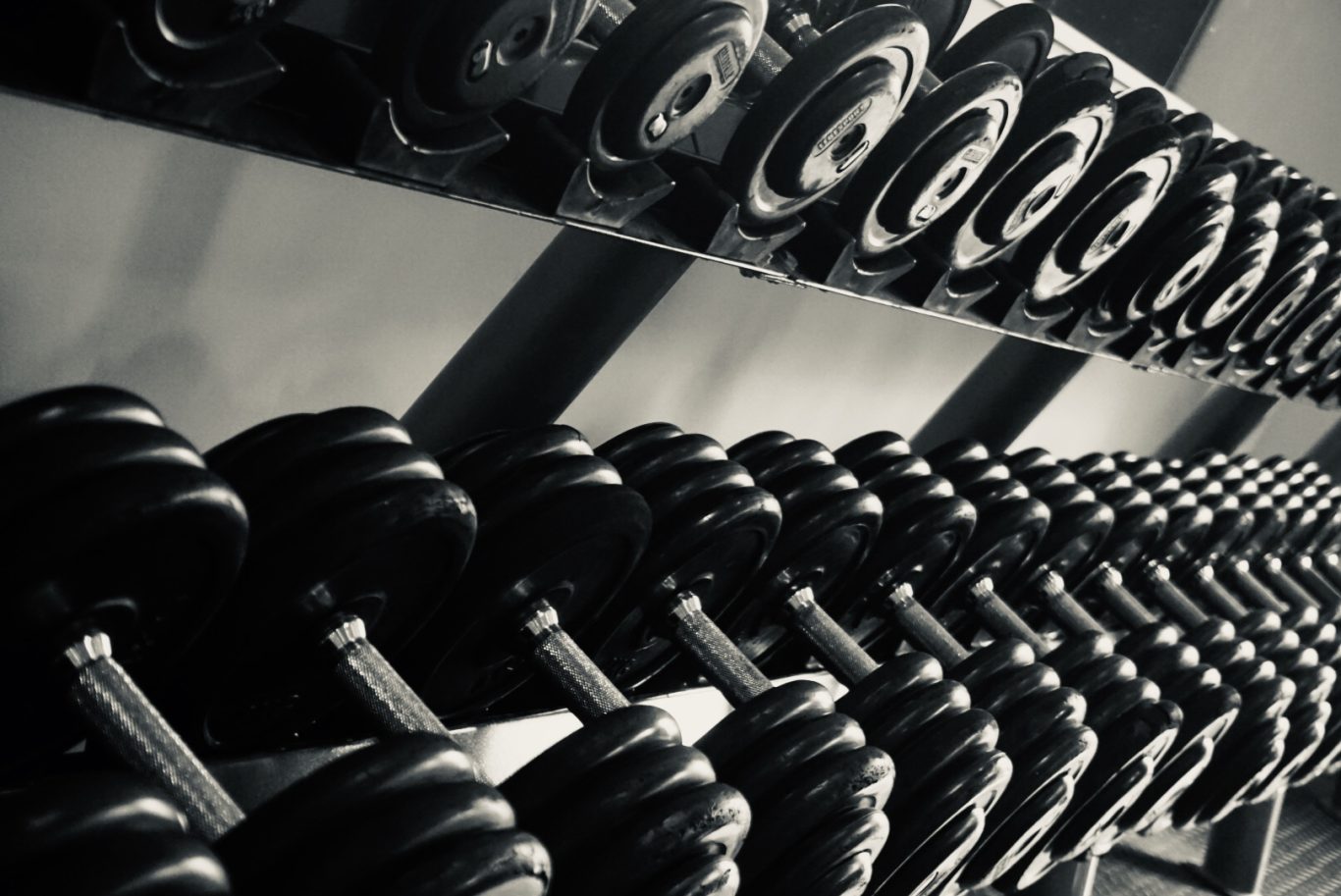 Kurzhanteln auf Ständer im Detail